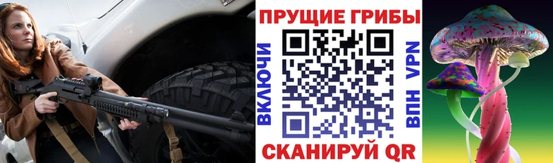 Псилоцибиновые грибы прущие грибы  где продают наркотики  Мегион 