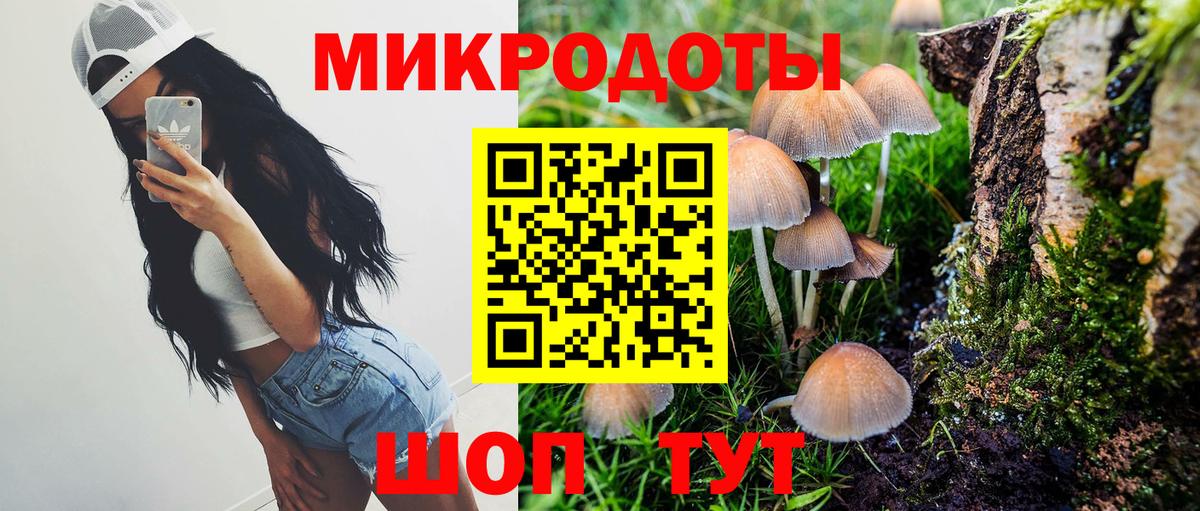 МЕФ Мегион