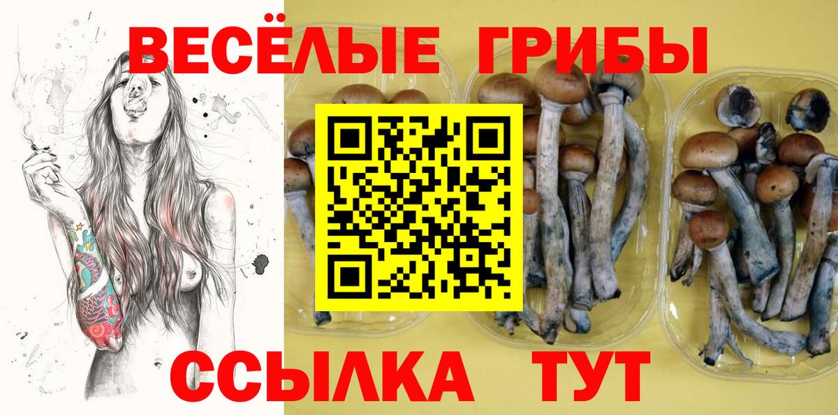 Галлюциногенные грибы Psilocybe  Галлюциногенные грибы Psilocybe  Вход с VPN  Мегион 