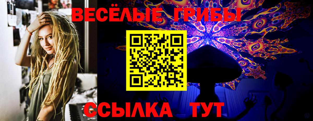 Псилоцибиновые грибы Psilocybine cubensis  Мегион 