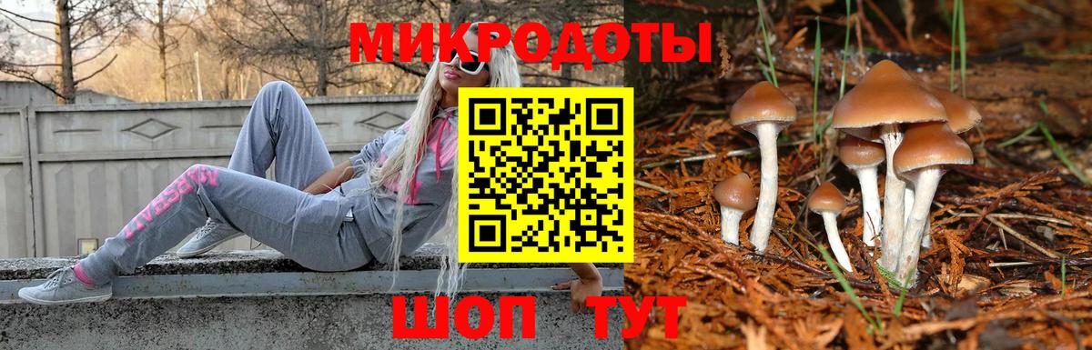 Псилоцибиновые грибы ЛСД Мегион